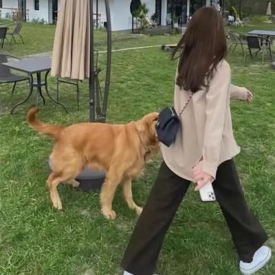 古来诗人皆寂寞